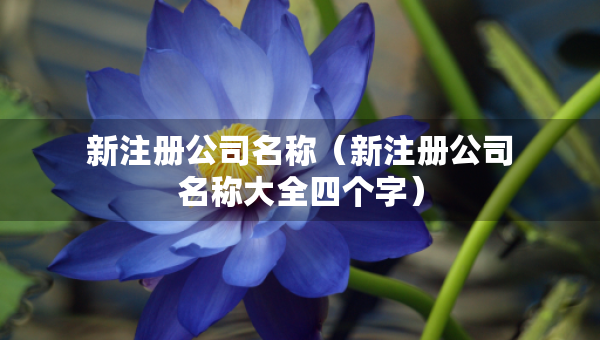 新注冊(cè)公司名稱（新注冊(cè)公司名稱大全四個(gè)字）