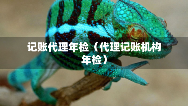 記賬代理年檢（代理記賬機(jī)構(gòu)年檢）