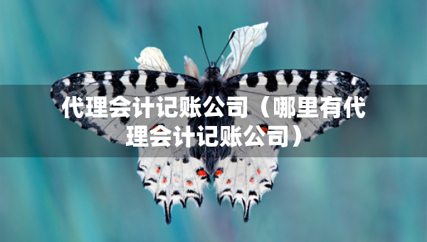 代理會計記賬公司（哪里有代理會計記賬公司）
