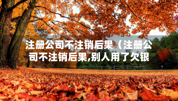 注冊公司不注銷后果（注冊公司不注銷后果,別人用了欠銀行錢）