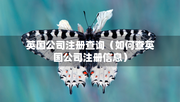 英國(guó)公司注冊(cè)查詢（如何查英國(guó)公司注冊(cè)信息）