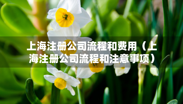 上海注冊公司流程和費(fèi)用（上海注冊公司流程和注意事項(xiàng)）