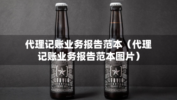代理記賬業(yè)務(wù)報告范本（代理記賬業(yè)務(wù)報告范本圖片）