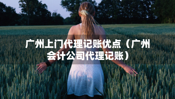 廣州上門(mén)代理記賬優(yōu)點(diǎn)（廣州會(huì)計(jì)公司代理記賬）