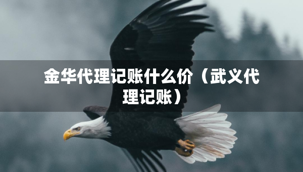 金華代理記賬什么價(jià)（武義代理記賬）