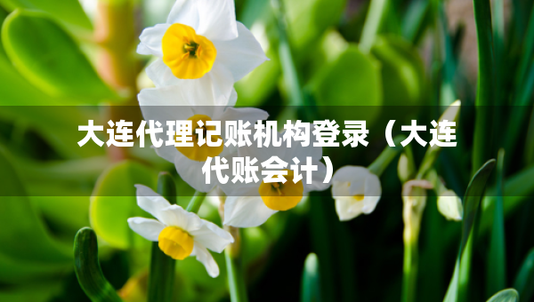 大連代理記賬機(jī)構(gòu)登錄（大連代賬會(huì)計(jì)）