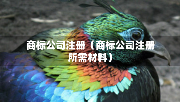 商標(biāo)公司注冊(cè)（商標(biāo)公司注冊(cè)所需材料）