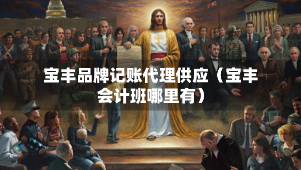 寶豐品牌記賬代理供應(yīng)（寶豐會(huì)計(jì)班哪里有）