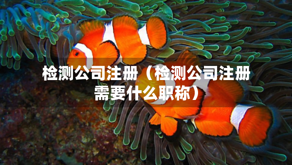 檢測公司注冊（檢測公司注冊需要什么職稱）