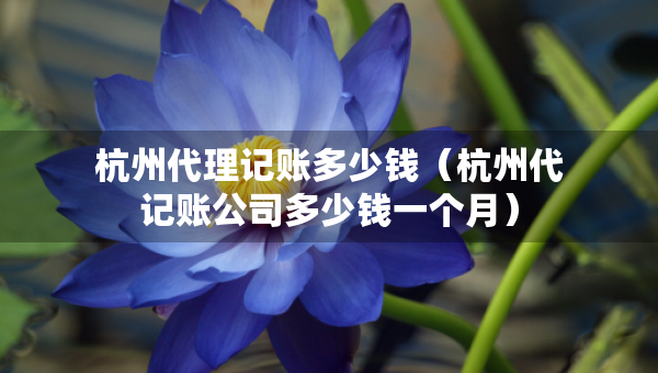 杭州代理記賬多少錢（杭州代記賬公司多少錢一個(gè)月）