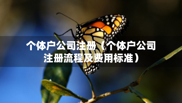 個體戶公司注冊（個體戶公司注冊流程及費用標準）