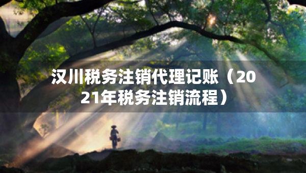 漢川稅務(wù)注銷代理記賬（2021年稅務(wù)注銷流程）