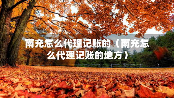 南充怎么代理記賬的（南充怎么代理記賬的地方）