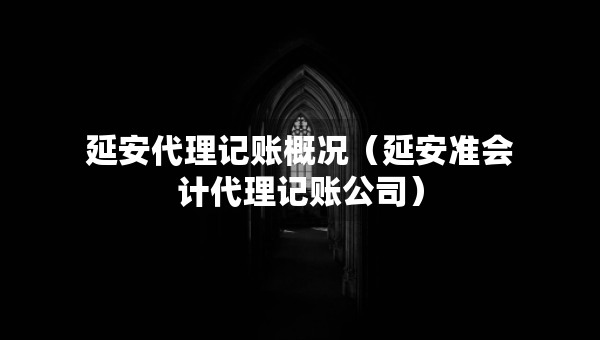 延安代理記賬概況（延安準(zhǔn)會(huì)計(jì)代理記賬公司）