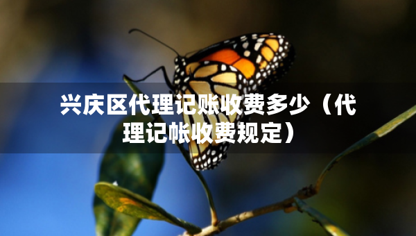 興慶區(qū)代理記賬收費(fèi)多少（代理記帳收費(fèi)規(guī)定）