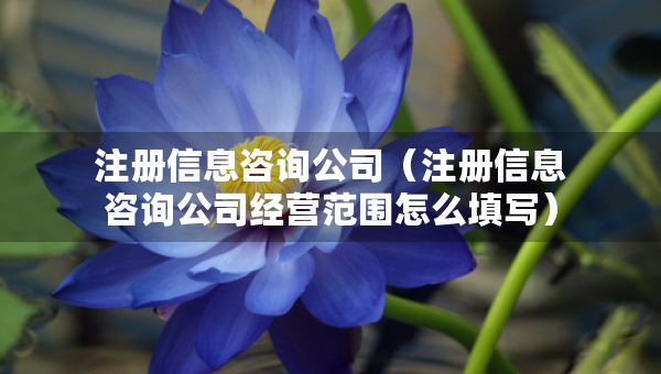 注冊信息咨詢公司（注冊信息咨詢公司經營范圍怎么填寫）
