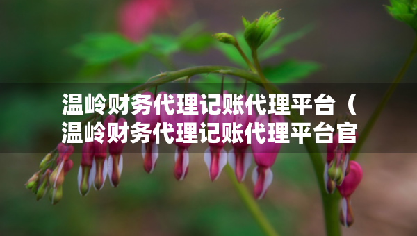 溫嶺財務(wù)代理記賬代理平臺（溫嶺財務(wù)代理記賬代理平臺官網(wǎng)）