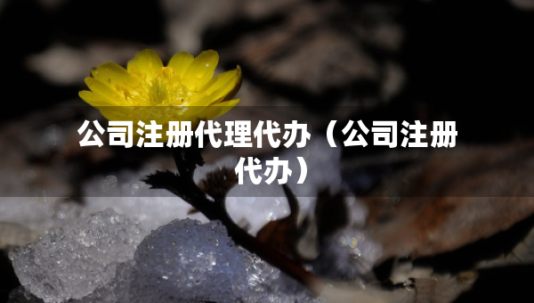公司注冊代理代辦（公司注冊 代辦）