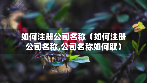 如何注冊公司名稱（如何注冊公司名稱,公司名稱如何?。? title=