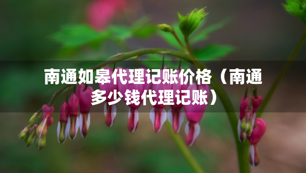 南通如皋代理記賬價格（南通多少錢代理記賬）