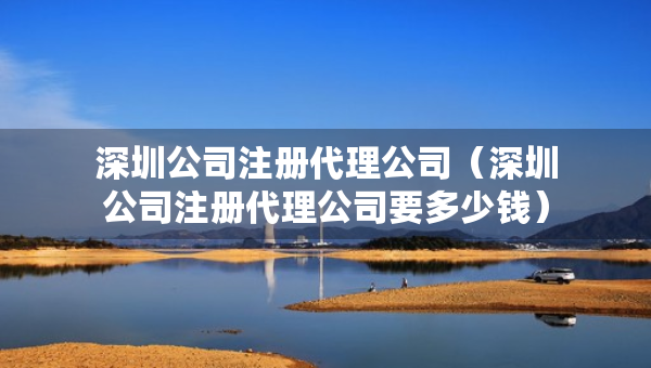 深圳公司注冊代理公司（深圳公司注冊代理公司要多少錢）
