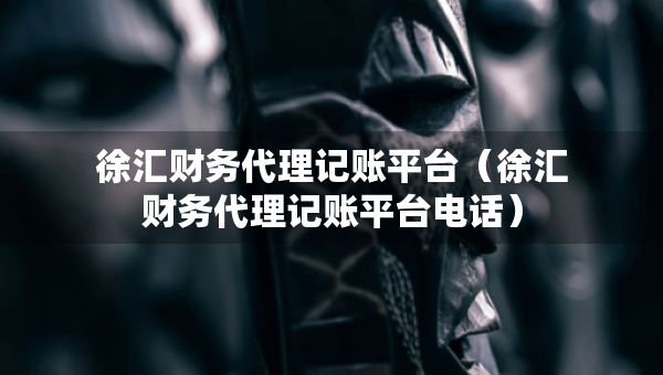 徐匯財(cái)務(wù)代理記賬平臺（徐匯財(cái)務(wù)代理記賬平臺電話）