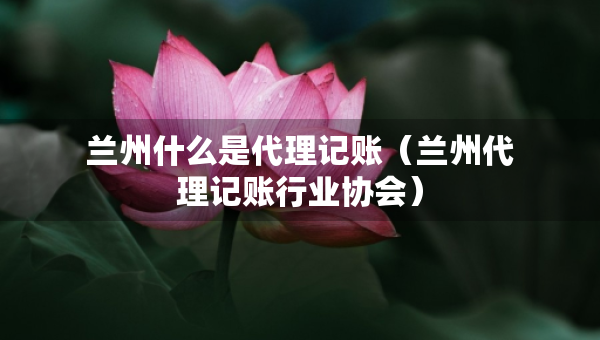 蘭州什么是代理記賬（蘭州代理記賬行業(yè)協(xié)會）