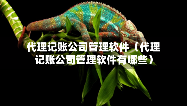 代理記賬公司管理軟件（代理記賬公司管理軟件有哪些）