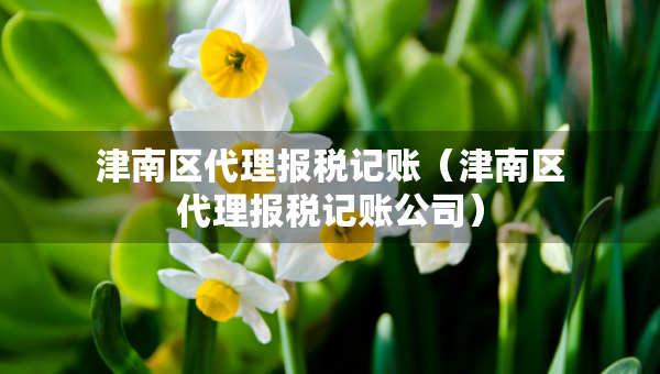 津南區(qū)代理報稅記賬（津南區(qū)代理報稅記賬公司）