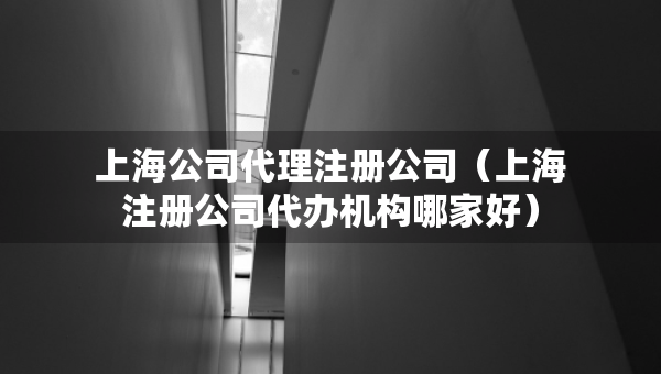 上海公司代理注冊(cè)公司（上海注冊(cè)公司代辦機(jī)構(gòu)哪家好）