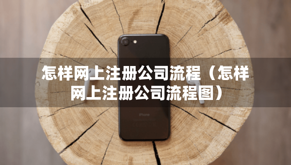 怎樣網(wǎng)上注冊公司流程（怎樣網(wǎng)上注冊公司流程圖）