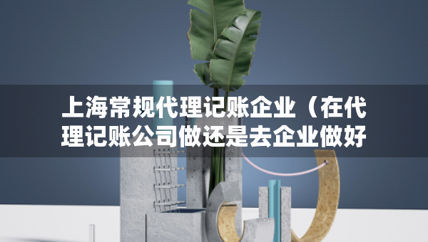 上海常規(guī)代理記賬企業(yè)（在代理記賬公司做還是去企業(yè)做好）