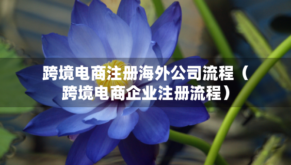 跨境電商注冊海外公司流程（跨境電商企業(yè)注冊流程）