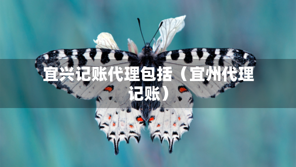 宜興記賬代理包括（宜州代理記賬）