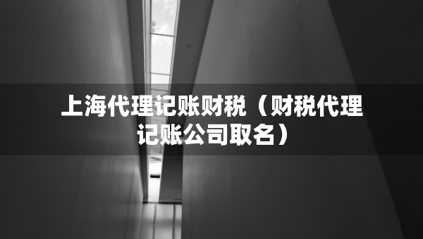 上海代理記賬財稅（財稅代理記賬公司取名）
