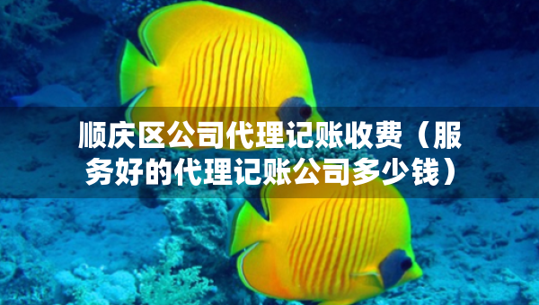 順慶區(qū)公司代理記賬收費(fèi)（服務(wù)好的代理記賬公司多少錢）