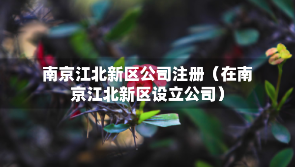 南京江北新區(qū)公司注冊（在南京江北新區(qū)設(shè)立公司）