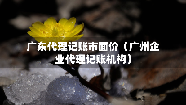 廣東代理記賬市面價（廣州企業(yè)代理記賬機(jī)構(gòu)）
