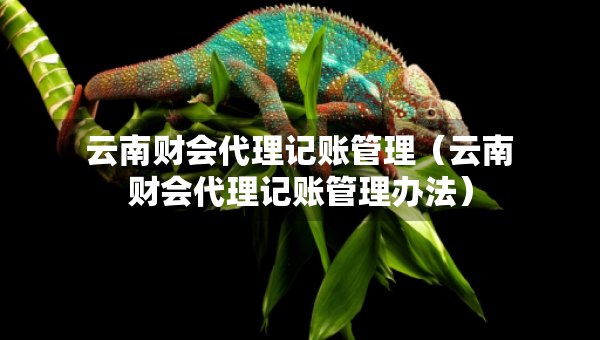 云南財(cái)會(huì)代理記賬管理（云南財(cái)會(huì)代理記賬管理辦法）