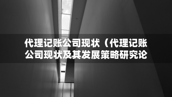 代理記賬公司現(xiàn)狀（代理記賬公司現(xiàn)狀及其發(fā)展策略研究論文）
