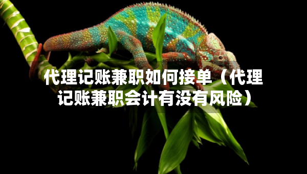 代理記賬兼職如何接單（代理記賬兼職會(huì)計(jì)有沒(méi)有風(fēng)險(xiǎn)）