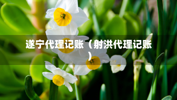 遂寧代理記賬（射洪代理記賬）