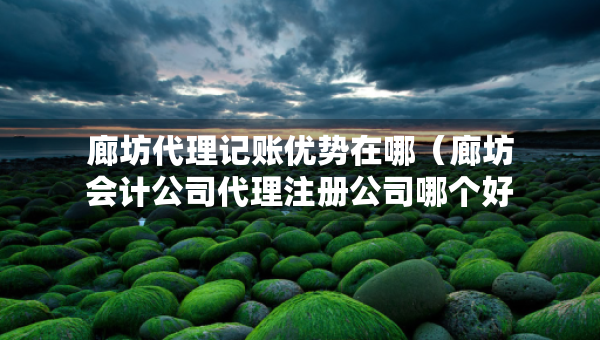 廊坊代理記賬優(yōu)勢在哪（廊坊會(huì)計(jì)公司代理注冊公司哪個(gè)好）
