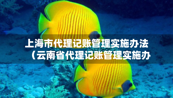 上海市代理記賬管理實(shí)施辦法（云南省代理記賬管理實(shí)施辦法）