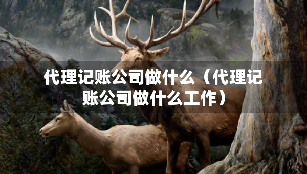 代理記賬公司做什么（代理記賬公司做什么工作）