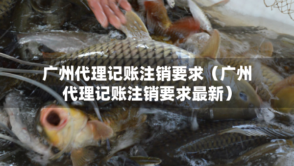 廣州代理記賬注銷(xiāo)要求（廣州代理記賬注銷(xiāo)要求最新）