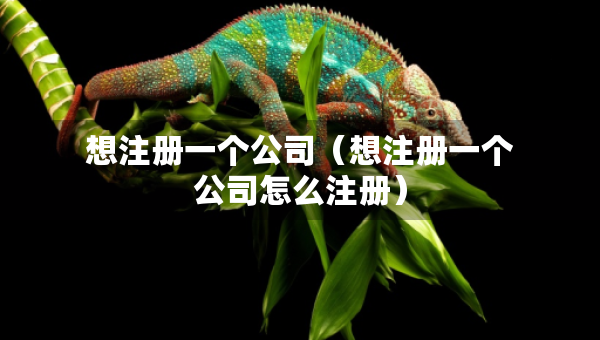 想注冊(cè)一個(gè)公司（想注冊(cè)一個(gè)公司怎么注冊(cè)）