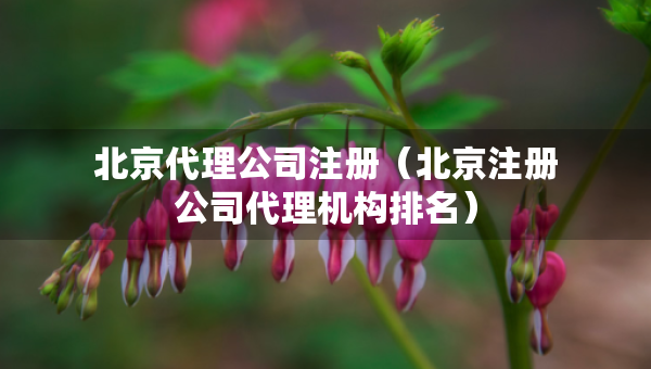 北京代理公司注冊（北京注冊公司代理機(jī)構(gòu)排名）