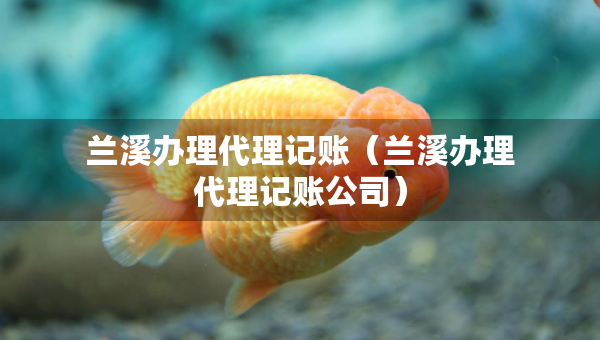 蘭溪辦理代理記賬（蘭溪辦理代理記賬公司）