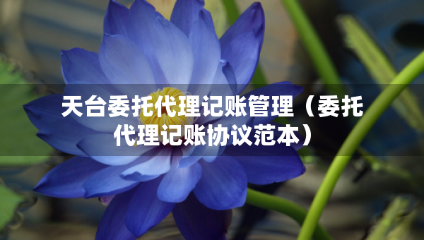 天臺委托代理記賬管理（委托代理記賬協(xié)議范本）